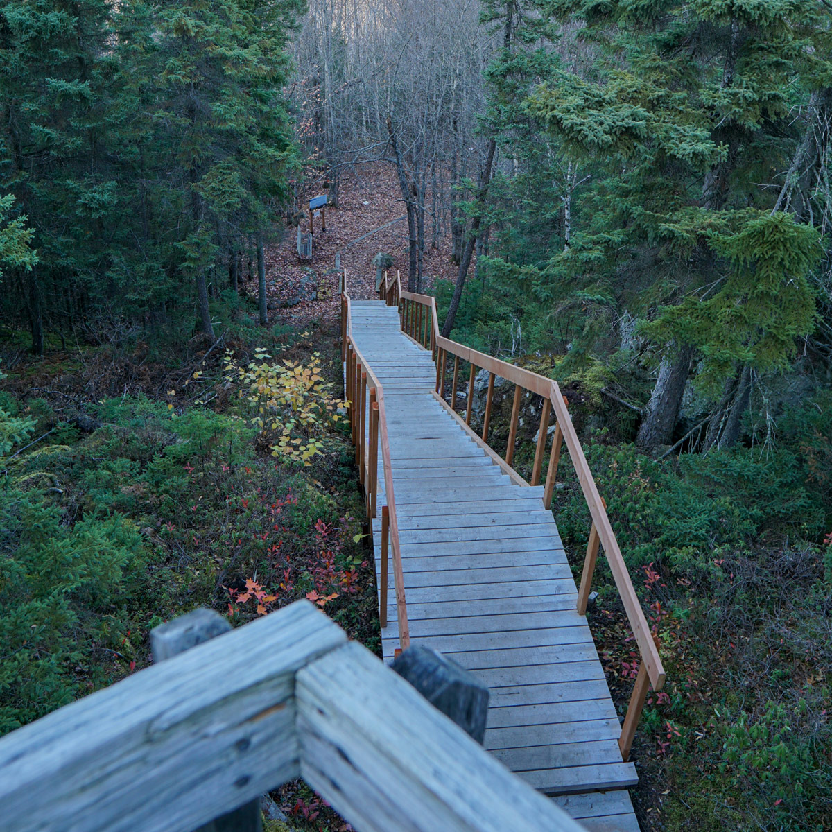 Hiking trails